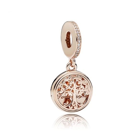 charmes pandora family charmes pandora family